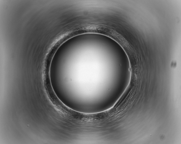 X0000099560728200805161452