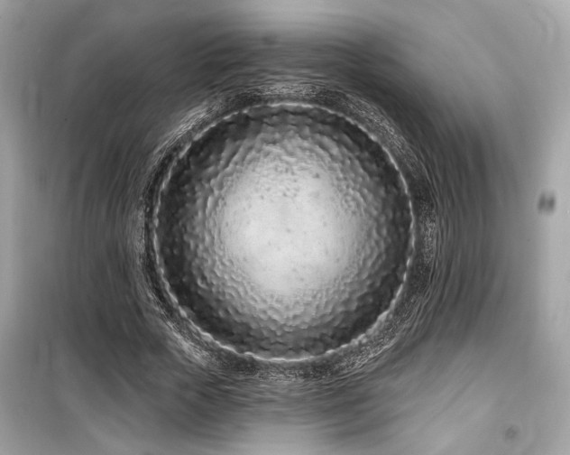 X0000099560729200805161452