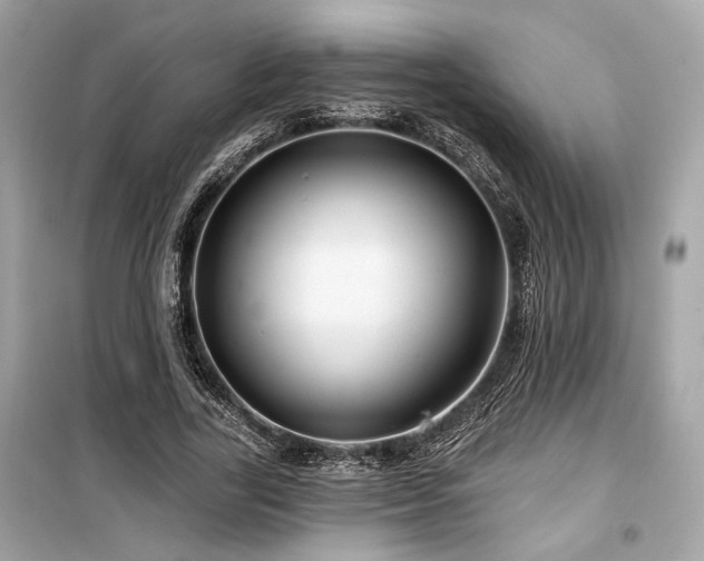 X0000099560731200805161452