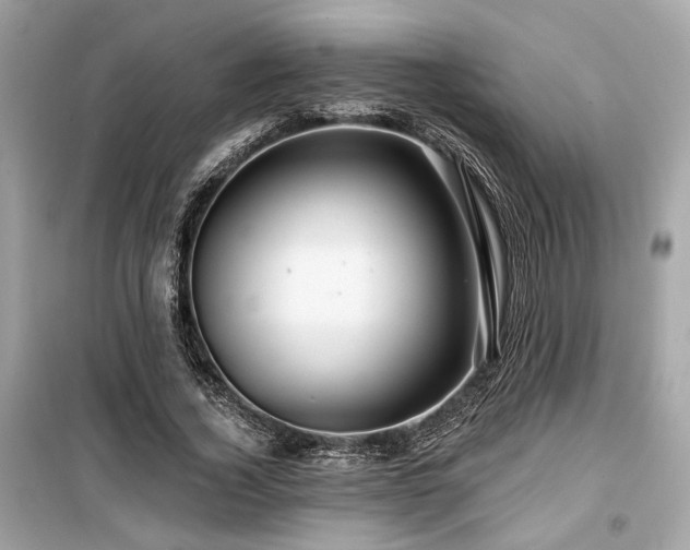 X0000099560732200805161452