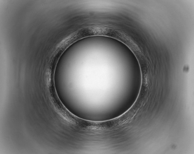 X0000099560733200805161452