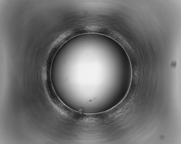 X0000099560734200805161452