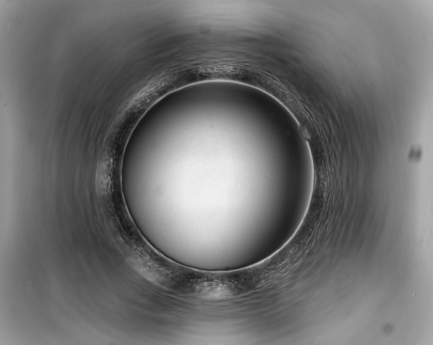 X0000099560735200805161452