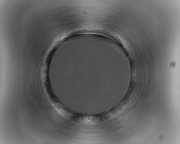 X0000099560736200805161452