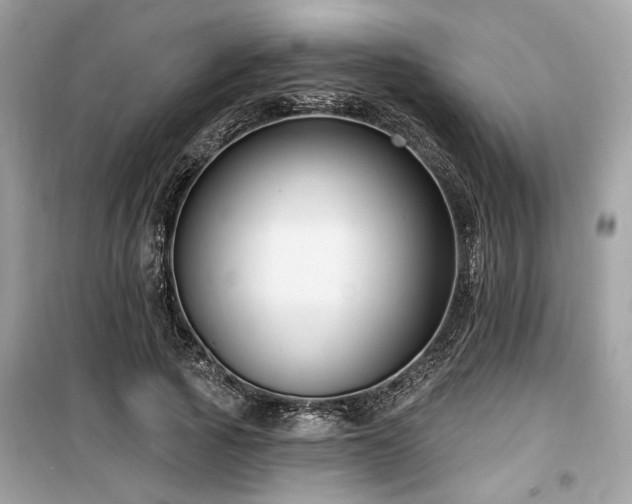 X0000099560737200805161452