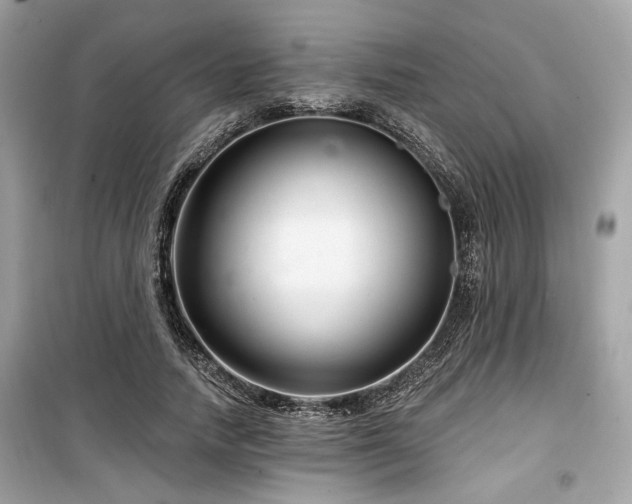 X0000099560738200805161452