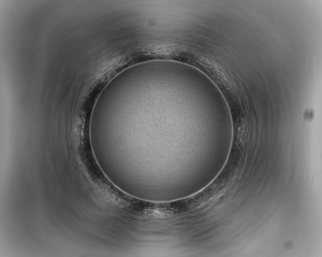 X0000099560739200805161452