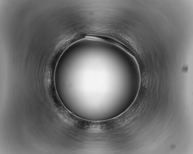 X0000099560740200805161452