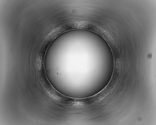 X0000099560741200805161452