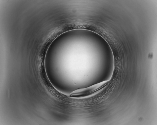 X0000099560742200805161452