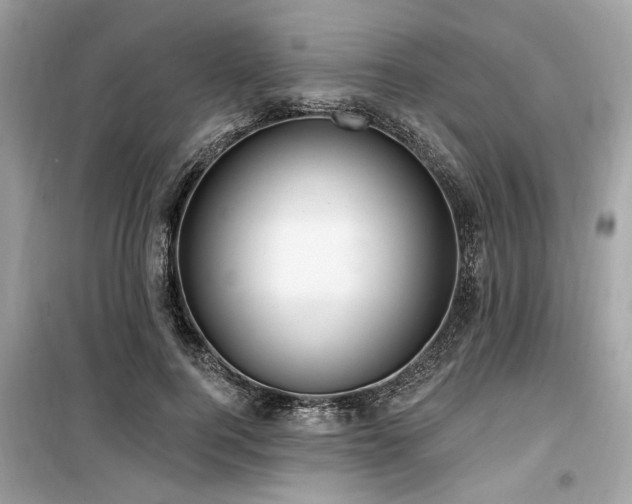 X0000099560744200805161452