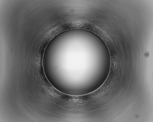 X0000099560745200805161452