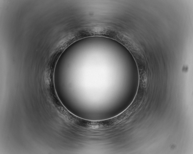 X0000099560746200805161452