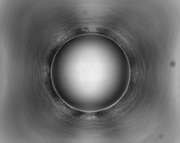 X0000099560747200805161452