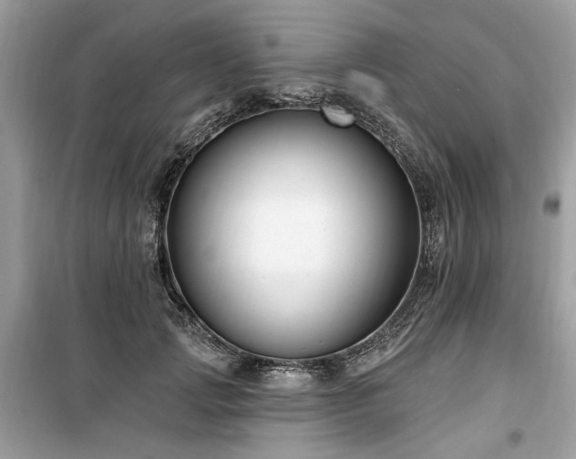 X0000099560749200805161452