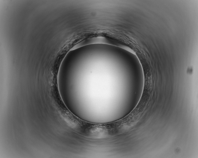 X0000099560750200805161452