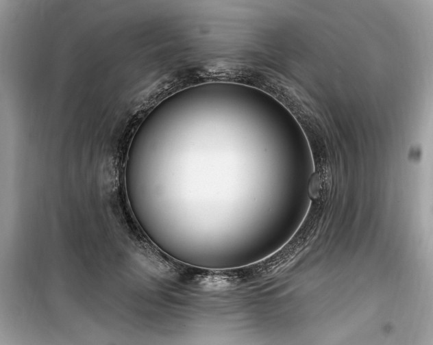 X0000099560751200805161452