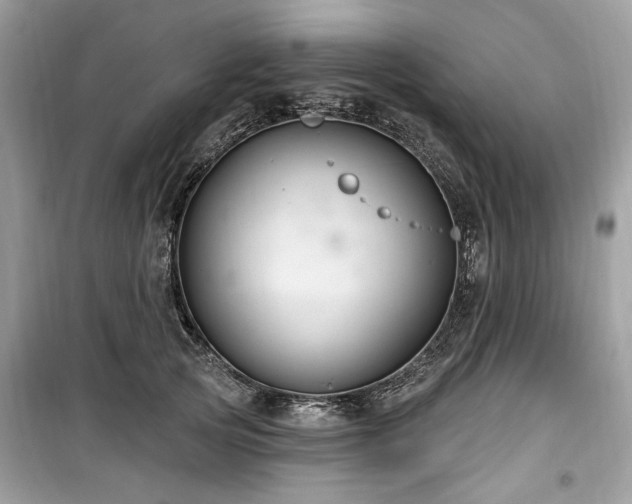 X0000099560753200805161452