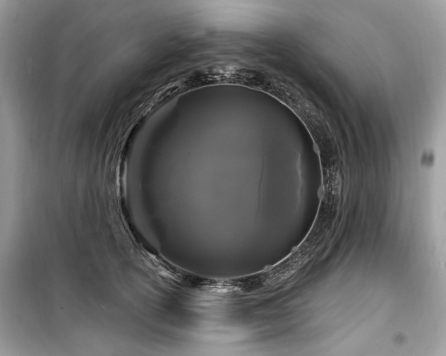 X0000099560754200805161452