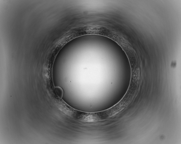 X0000099560755200805161452