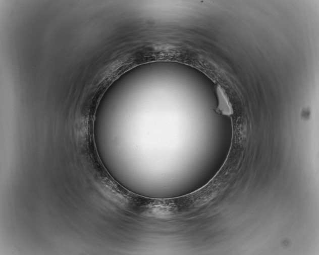 X0000099560756200805161452