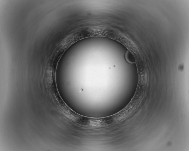 X0000099560757200805161452