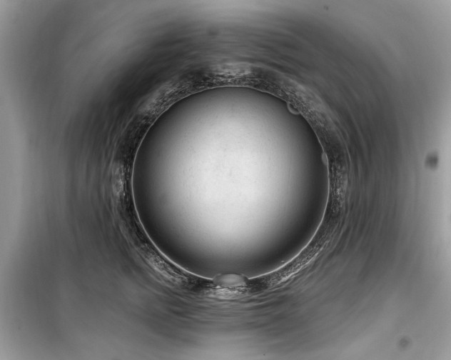 X0000099560758200805161452