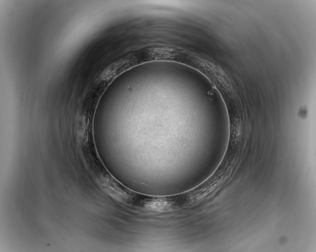 X0000099560759200805161452