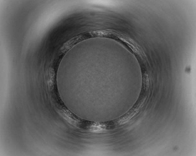 X0000099560760200805161452