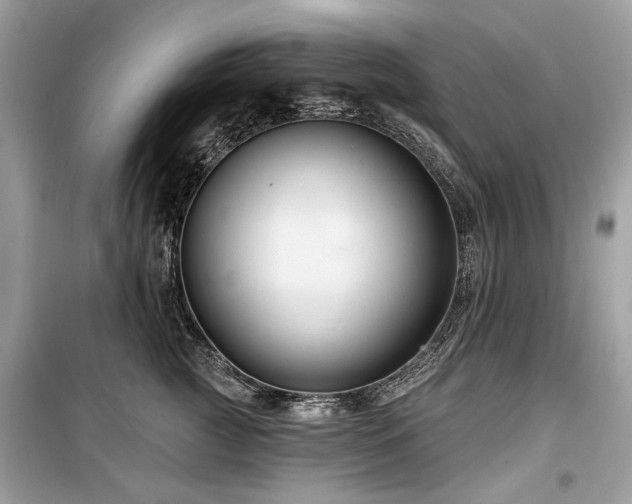 X0000099560761200805161452