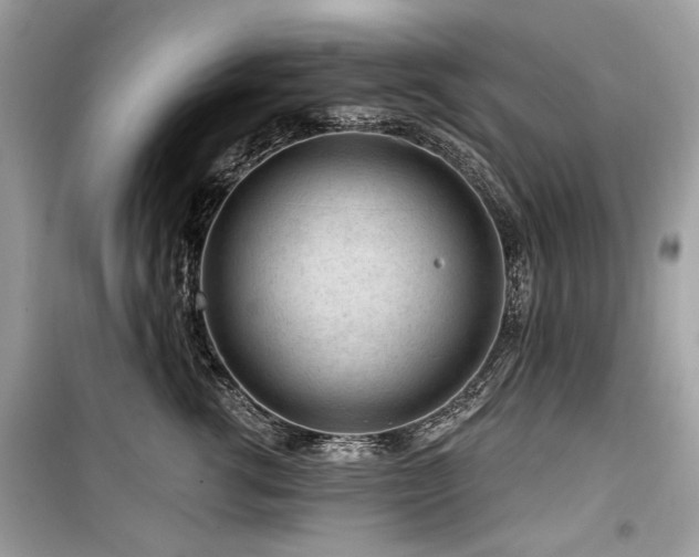 X0000099560762200805161452