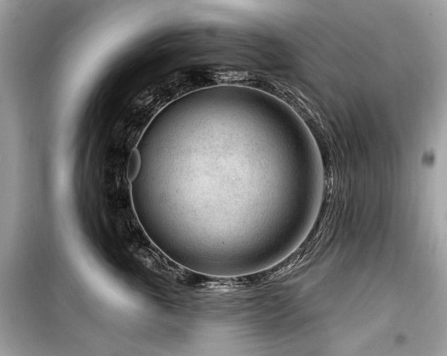 X0000099560763200805161452