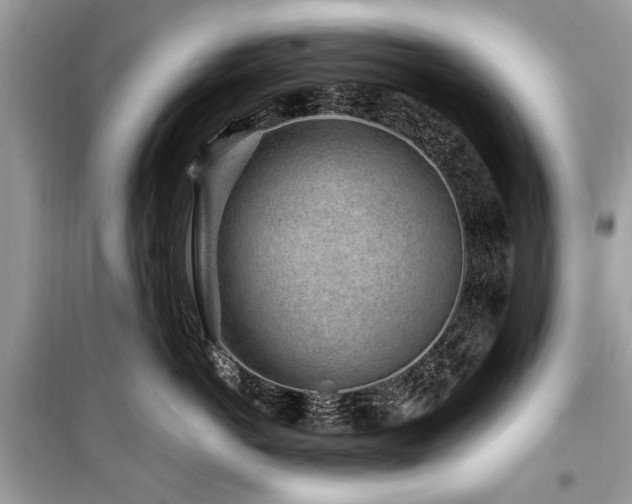 X0000099560766200805161452