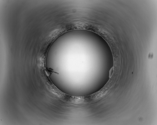 X0000099560768200805161452