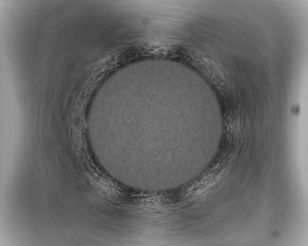 X0000099560769200805161452