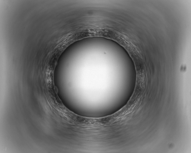 X0000099560770200805161452