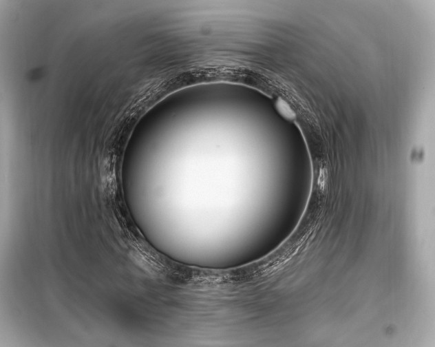 X0000099560771200805161452