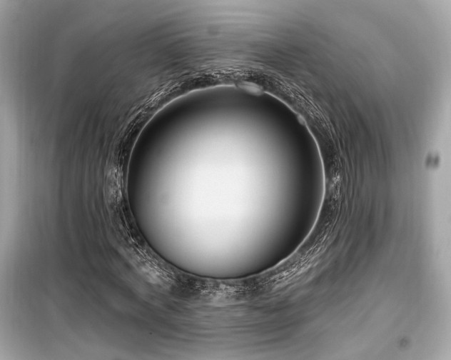 X0000099560772200805161452