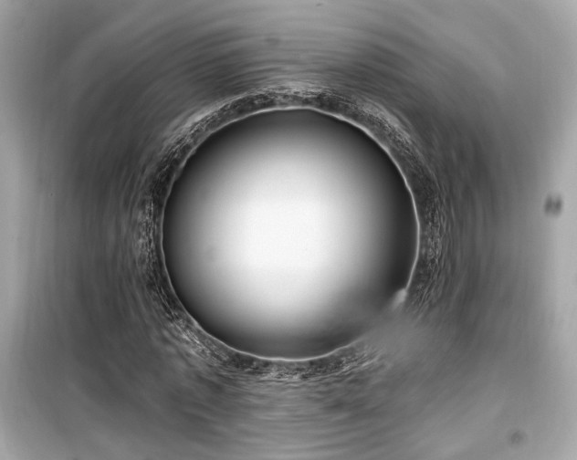 X0000099560773200805161452