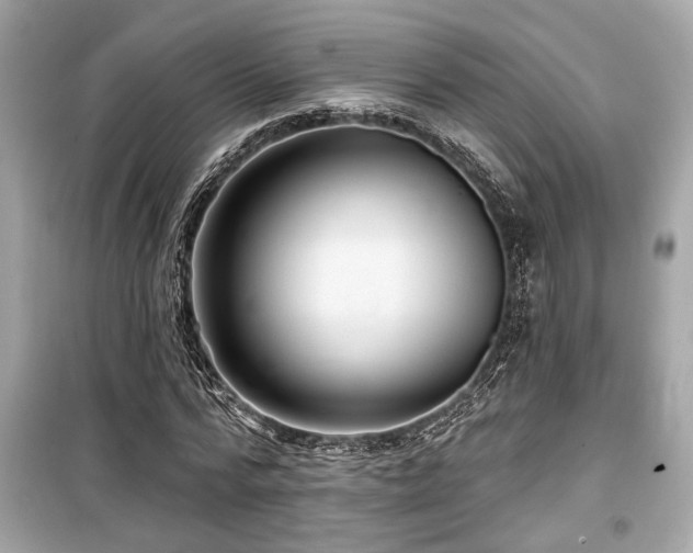 X0000099560776200805161452