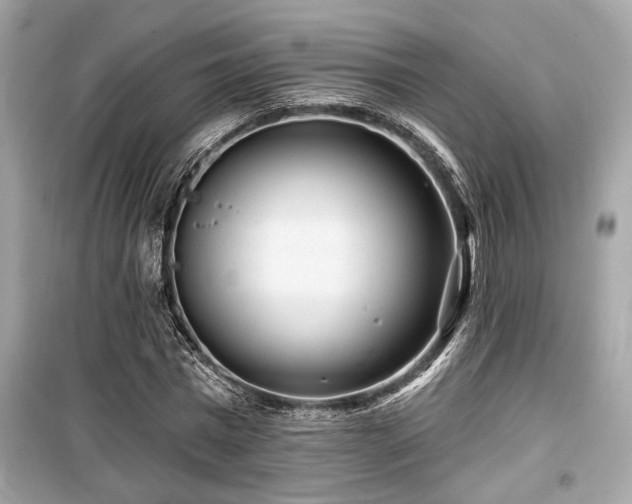 X0000099560777200805161452