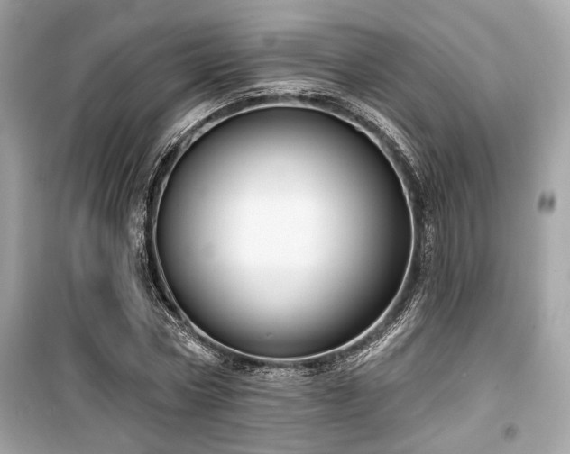 X0000099560778200805161452