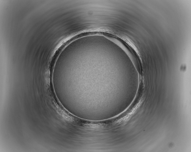 X0000099560781200805161451