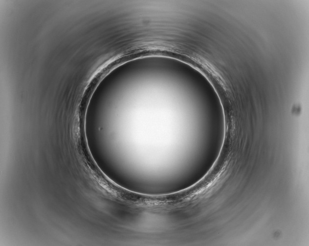 X0000099560782200805161451