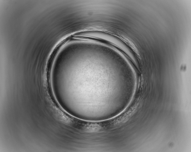 X0000099560784200805161451