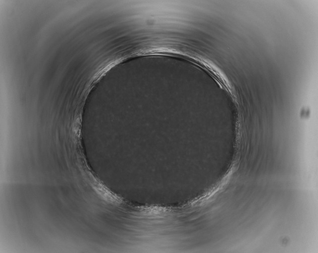 X0000099560785200805161451