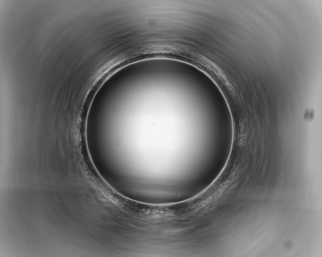 X0000099560786200805161451