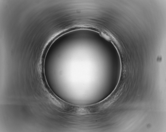 X0000099560787200805161451