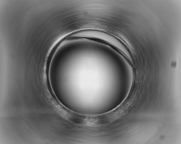 X0000099560788200805161451