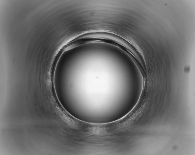 X0000099560789200805161451